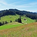 hier gehts durch die Wiese hinunter zum Wanderweg und zum Gäbris