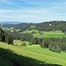 seitlicher Blick hinüber zur Hohen Buche
