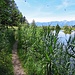 Natur pur Wanderweg um das Gäbrisseeli