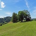 Natur pur Wanderung