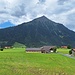 Niesen