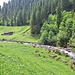 Alp Louene