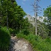 ...und bei einer Höhe von über 800m sieht man erstmals den Schoberstein