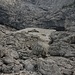 Blick nach Süden auf die Nordabstürze des Westgipfels