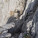 Blick hinab in die Rinne, links der Felskopf. Durch den abwärts gerichteten Blick wirkt die Aufstiegsflanke gegenüber grausam, das ist sie aber nicht