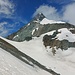 Von derselben Stelle geht der Blick zum Großglockner und zur Adlersruhe. Die Salmhöhe ist das Felseck rechts der Bildmitte.