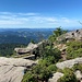 Mittagspause beim Katzenkopf.<br /><br />