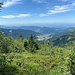 Gegen Westen<br /><br />