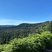 Blick auf den Höhenzug der Hornisgrinde.<br /><br />