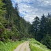 Auf der Umleitung.<br /><br />