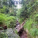 Der Weg wird etwas rustikaler.<br /><br />