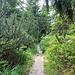 Gegen den Wildseeblick.<br /><br />