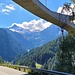 Bortelhorn