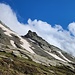 das Spitzhörnli