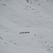 Hikr-Tatzelwurm: Der 11-köpfige Vortrupp leistete im Aufstieg zur Bannalper Schonegg gute Spurarbeit