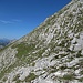 Etwas exponierte Grasquerung