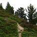Unterwegs in Richtung der Bergstation Darlux