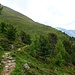 Unterwegs in Richtung der Bergstation Darlux