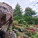 <b>È un magnifico giardino che non necessita di giardinieri.</b>