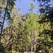 Cima di Cioltro q.1802m, visto dalla q. 1687m