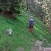 Sentiero degli alpi