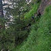 Precipite versante Nord dello Stegnone