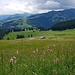 Blick auf die Alp Grosser-Bäder.