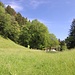 hier nach links abbiegen