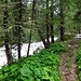 Unterwegs im Val Bever