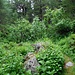 Unterwegs im Val Bever zum Abzweig bei Palüd Marscha