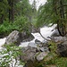 Unterwegs im Val Bever. Der Wanderweg führt entlang der Beverin, die nach den starken Regenfällen sehr viel Wasser führte. 