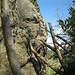 Auf der rechten (südlichen) Seite der Fuchsklippe liegt derzeit ein umgestürzter Baum, den man als Kletterhilfe nehmen kann.