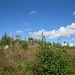 Die Stiefmutterklippe besteht aus zwei Felsen, links (im Foto halb verdeckt) der etwas höhere, rechts der etwas niedrigere. Durch Wildwuchs-Gelände gelangt man dort hin.