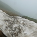 eines der letzten Schneefeelder