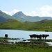 Rückblick vom Albulasee zum Muntischè