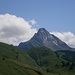 Formschöner Biberkopf