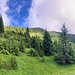 Sommertour: ab 1600 m über der Waldgrenze sieht man den verlatschten Südgrat