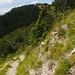 in Kehren in den Himmelreichsgrund