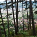 Alt- und Neu-Lobeda vom Spitzberg