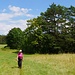 auf dem Plateau südlich der Sommerlinde