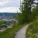 Jentower und Stadtkirche von der mittleren Kernberghorizontalen