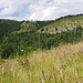 Pennickental