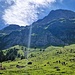 Nachdem ich das Bike in einem Waldstück deponiert hatte, folgte ich dem weiss-rot markierten Wanderweg hoch zum Berggasthaus Tierwis
