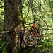... zu meinem Bike. <br />Bis nach Lutertannen folgte ich der alten Passstrasse, diesmal locker und zügig, nur die Viehschranken waren die Spielverderber