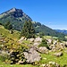 Weg vom Strassenlärm durch eine schöne Landschaft fahren, Genuss pur ...