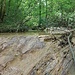 Abstieg im Wasserfall über eine Kalktuffstufe: Blick auf die Oberkante