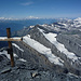 Gipfelpanorama vom Altels nach SW: vorne das Rinderhorn, darüber der Mont Blanc, links davon u.a. der Grand Combin, rechts u.a. Dents du Midi, Les Diablerets und Wildhorn