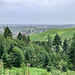 Nähe Freudenthaler Eck ein regenverhangener Nordwestblick gen Offenburg. Bei besserem Wetter würde hinten noch Strasbourg herübergrüßen.