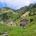 Alp d'Albion