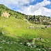 Alp d'Albion